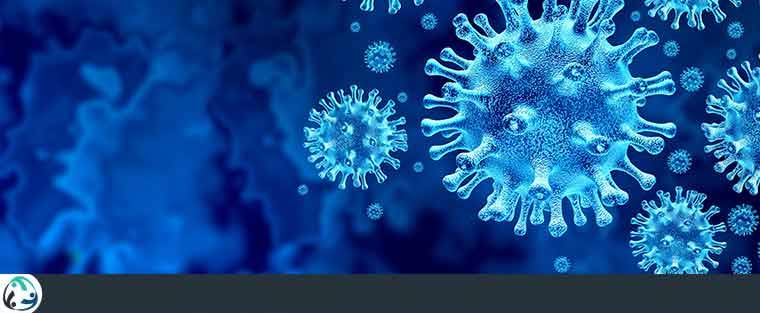 COVID-19 Antibody Testing Clinic Near Me in Allen, TX & Plano, TX COVID-19 Antibody Testing Clinic Near Me in Allen, TX & Plano, TX