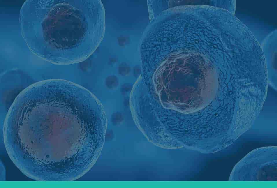 Regenerative Medicine at American Pain and Wellness