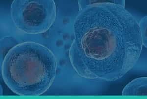 Regenerative Medicine at American Pain and Wellness